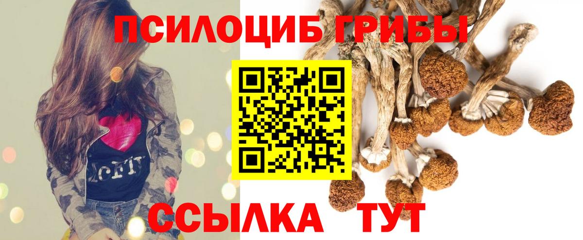 Славгород  Псилоцибиновые грибы MAGIC MUSHROOMS  Вход с VPN 