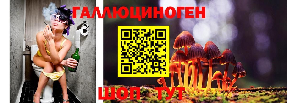 Псилоцибиновые грибы мухоморы Славгород